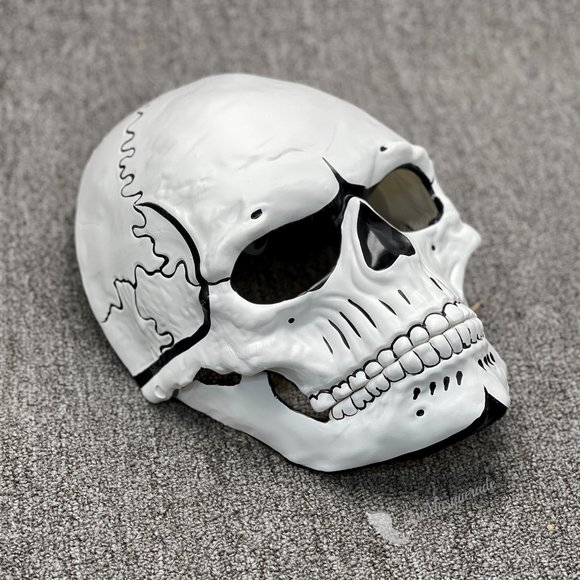 Skull Masquerade Mask Halloween Skull Day of The Dead Mask Open Jaw Mask - Picture 1 of 3